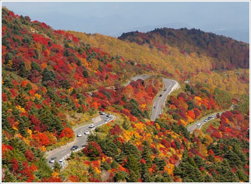 磐梯吾妻スカイラインの紅葉21の見頃時期は 渋滞状況と回避方法とは Life Day