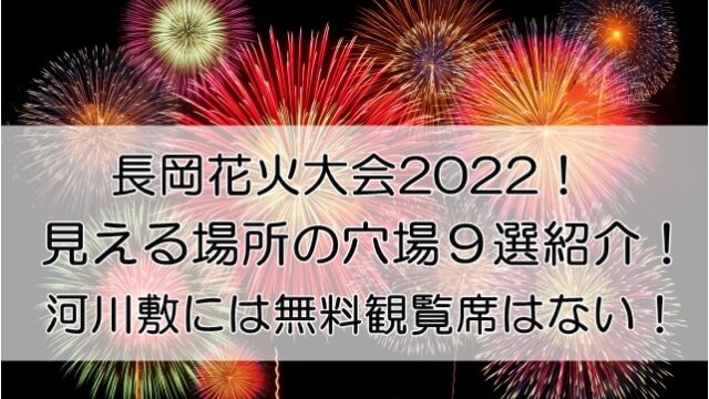 ギフ_包装】 長岡花火大会 8月3日 右岸 3枚 2022年 南エリア席 Ａ会場